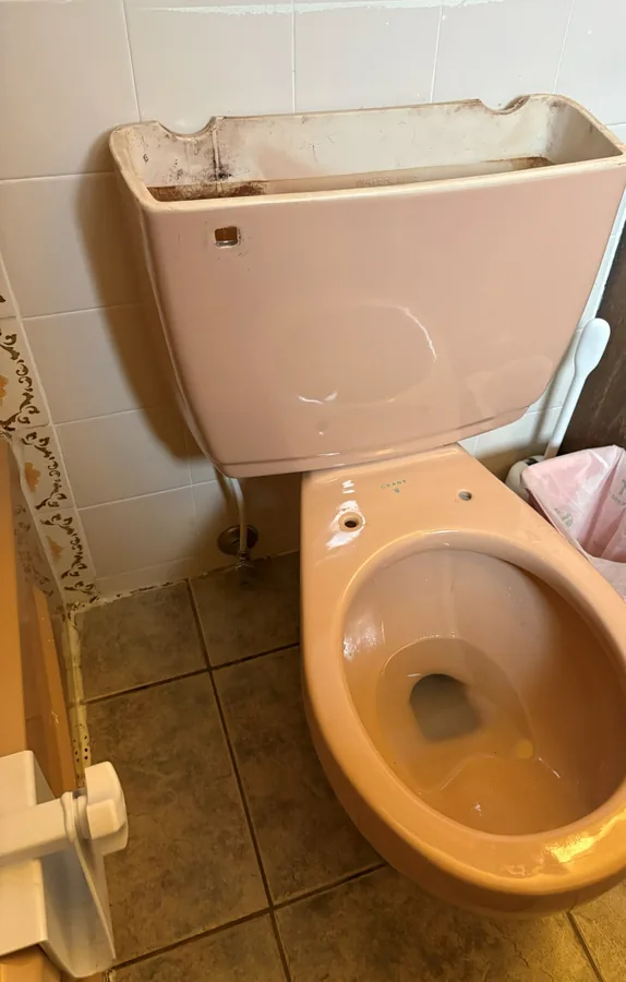 An old coloured toilet with its tank lid off, before replacement